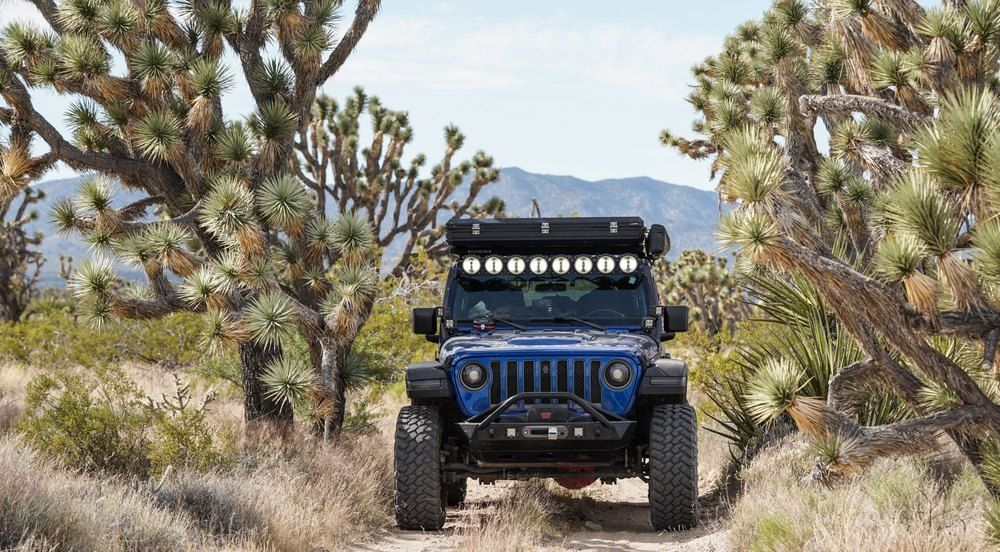 How Do I Start Overlanding?